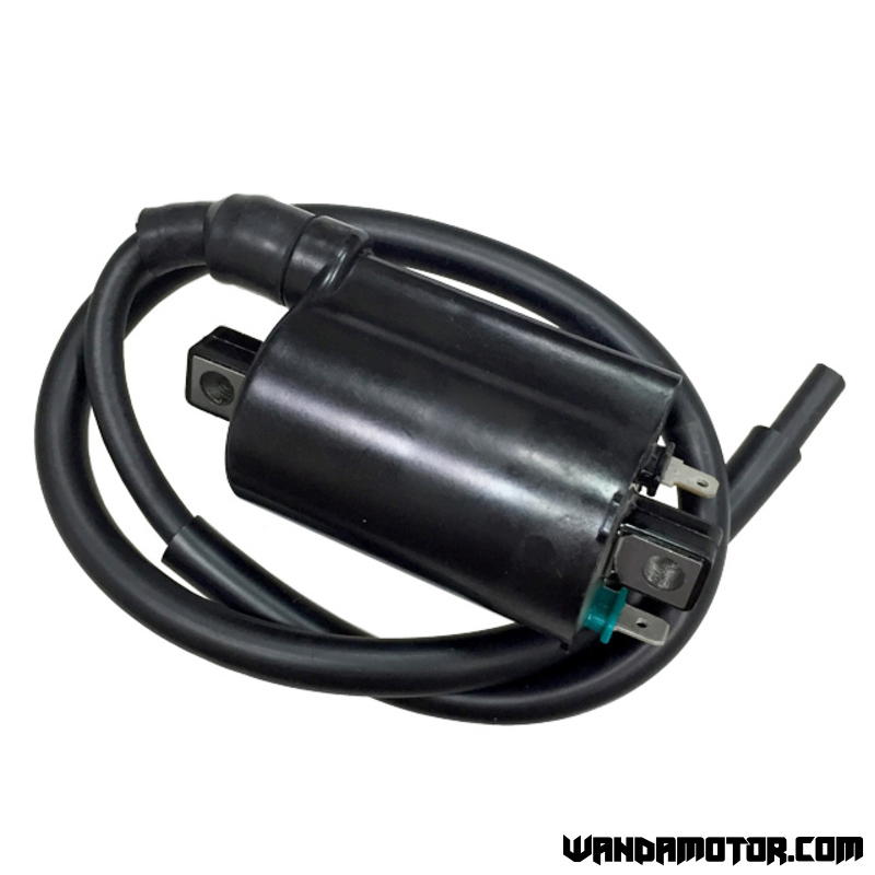Ignition coil Yamaha Grizzly 700