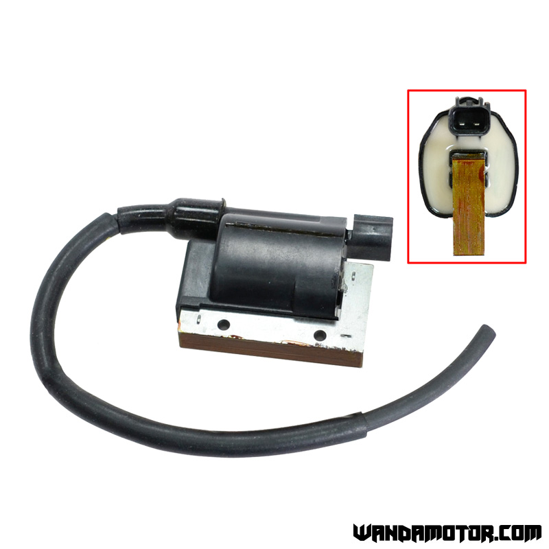 Ignition coil Can-Am