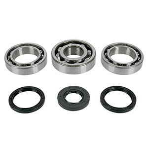 Differential bearings and gasket