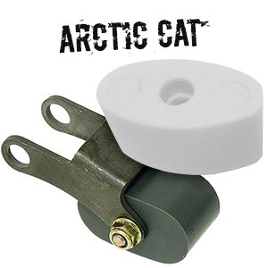 Arctic Cat